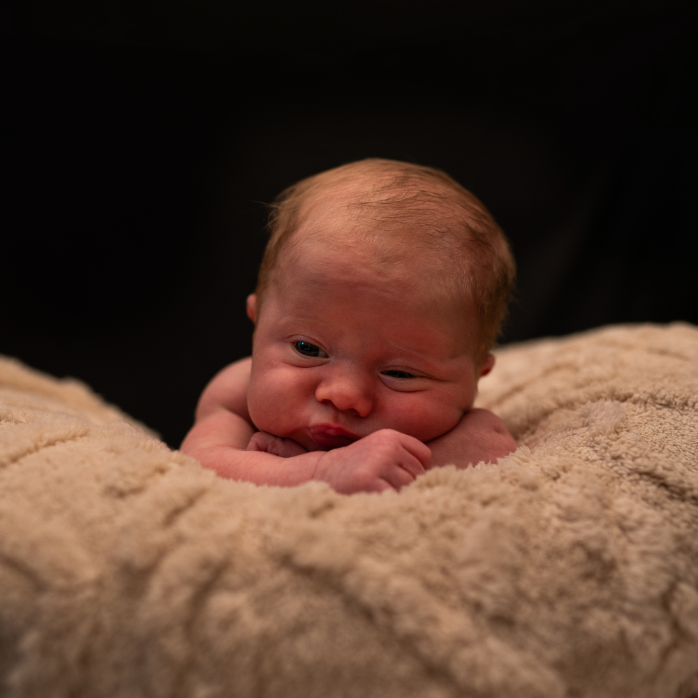 Newborn baby portrait session