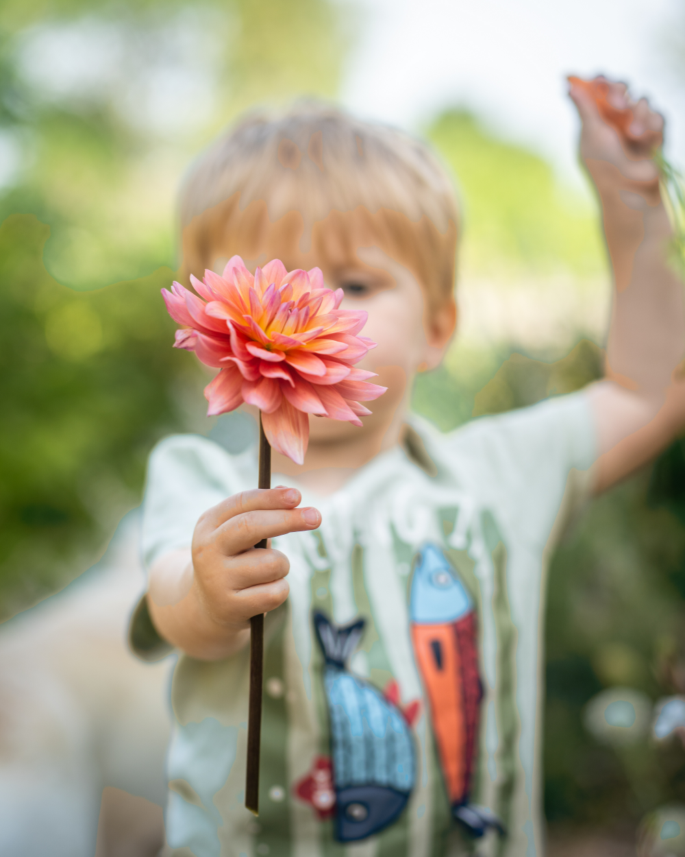 Toddler candid portrait session