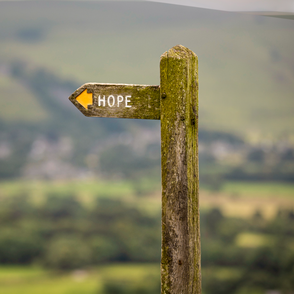 Landscape photography 13